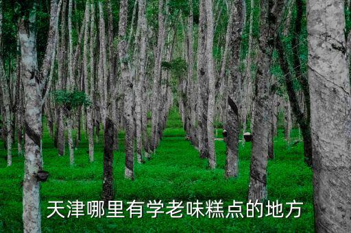 天津哪里有学老味糕点的地方