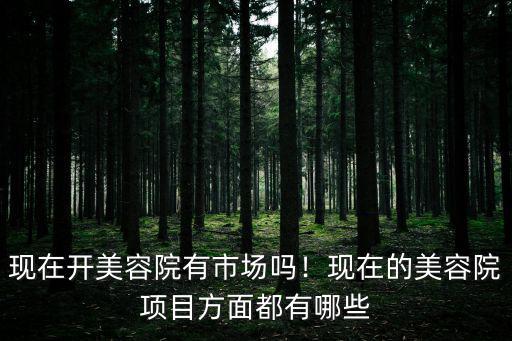 想开美容院得掌握什么,想开个美容院