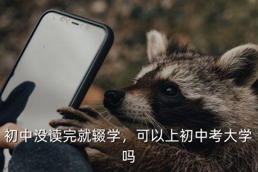 初中没读完就辍学，可以上初中考大学吗