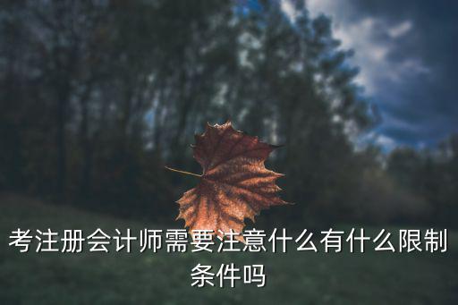 考注册会计师需要注意什么有什么限制条件吗