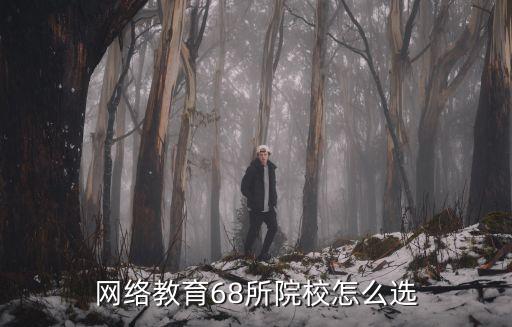 网络教育68所院校怎么选
