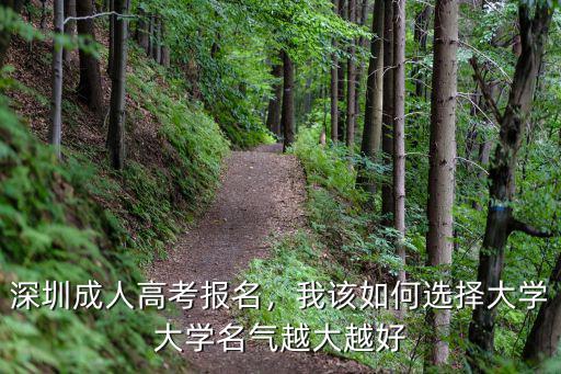 深圳成年高考怎么报名,深圳成人高考报名