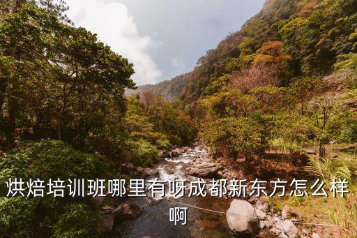 烘焙培训班哪里有呀成都新东方怎么样啊