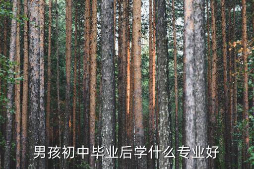 初中未毕业男生读什么专业好,初中没毕业读什么专业好