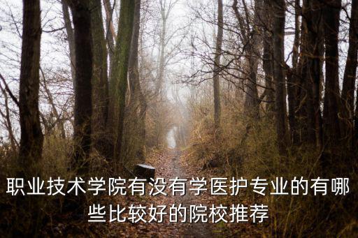 职业技术学院有没有学医护专业的有哪些比较好的院校推荐