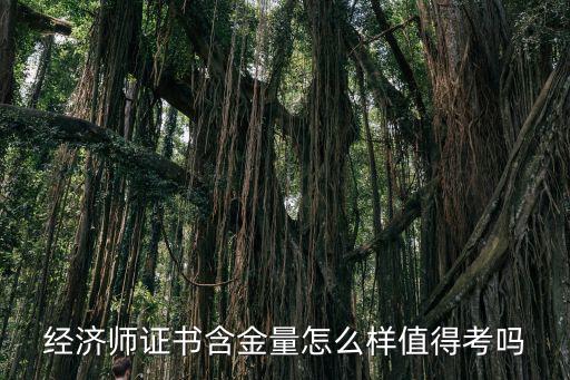 cecc证书含金量怎么样,adobe证书含金量怎么样