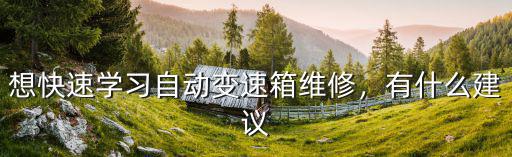 想快速学习自动变速箱维修，有什么建议