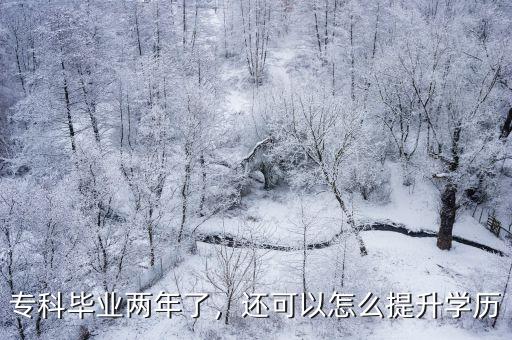 专科毕业两年了，还可以怎么提升学历