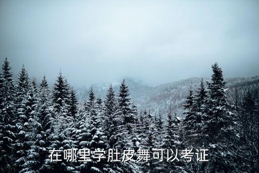 在哪里学肚皮舞可以考证