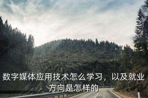 数字媒体应用技术怎么学习，以及就业方向是怎样的