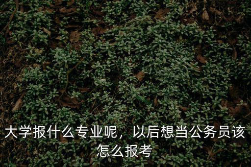 大学报什么专业呢，以后想当公务员该怎么报考