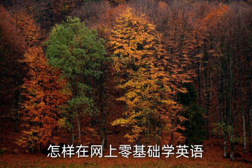 零基础怎么学荷兰语,怎样在网上零基础学英语
