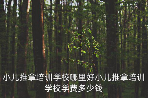 小儿推拿培训学校哪里好小儿推拿培训学校学费多少钱