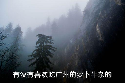有没有喜欢吃广州的萝卜牛杂的