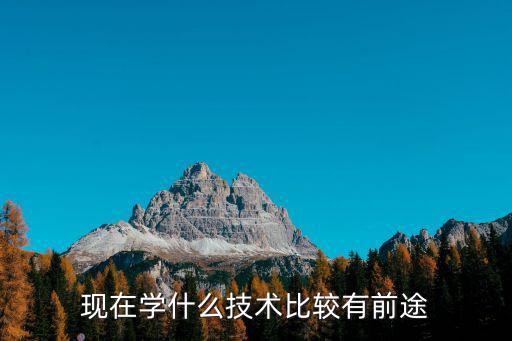 现在学什么技术比较有前途