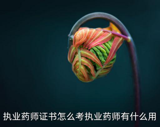 执药师是做什么,执业药师证书怎么考