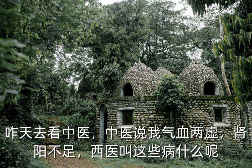 咋天去看中医，中医说我气血两虚，肾阳不足，西医叫这些病什么呢