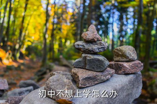 初中不想上学怎么办