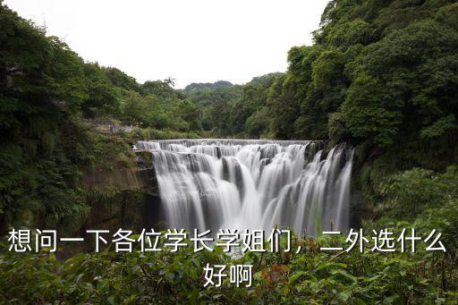 想问一下各位学长学姐们，二外选什么好啊