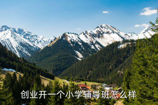 创业开一个小学辅导班怎么样