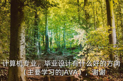 计算机专业，毕业设计有什么好的方向（主要学习的JAVA），谢谢