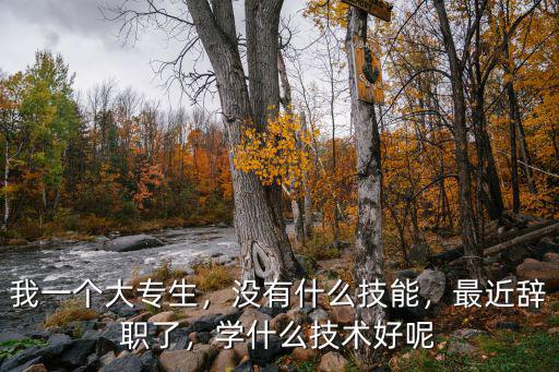 大专学什么技术最好,没有什么技能