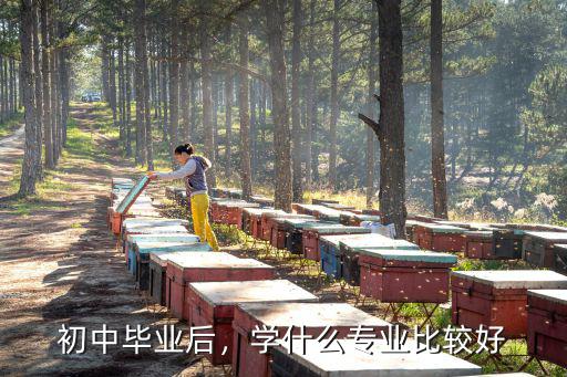 初中毕业后，学什么专业比较好