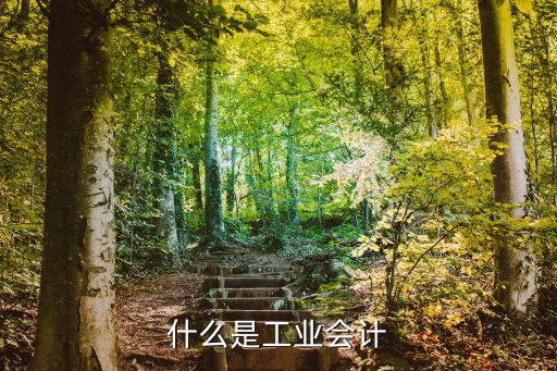 工业会计需要什么条件,什么是工业会计