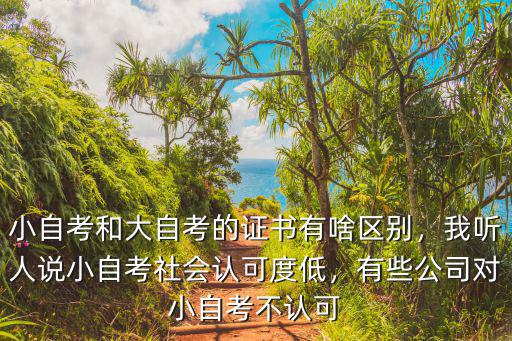 小自考和大自考的证书有啥区别，我听人说小自考社会认可度低，有些公司对小自考不认可