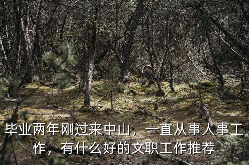 毕业两年刚过来中山，一直从事人事工作，有什么好的文职工作推荐