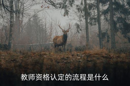 教师资格认定的流程是什么