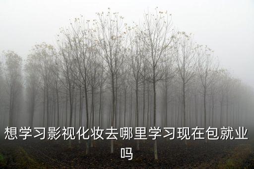 想学习影视化妆去哪里学习现在包就业吗