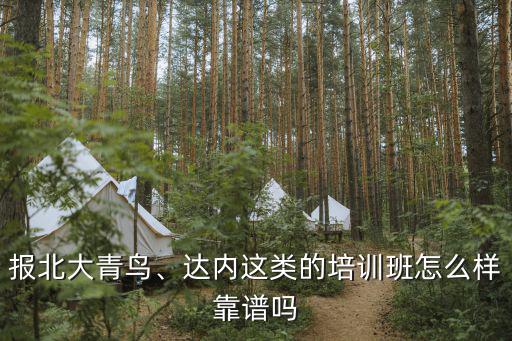 报北大青鸟、达内这类的培训班怎么样靠谱吗