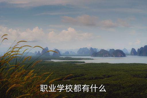 职业学校都有什么