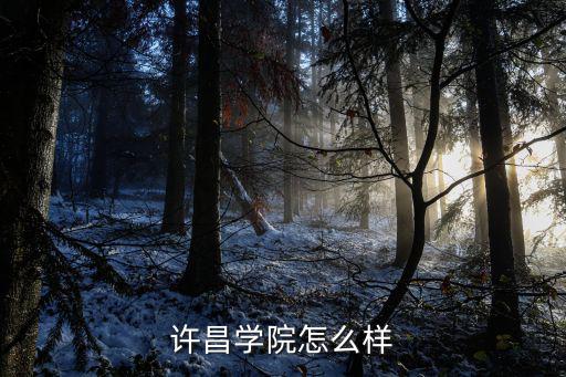 许昌学院怎么样
