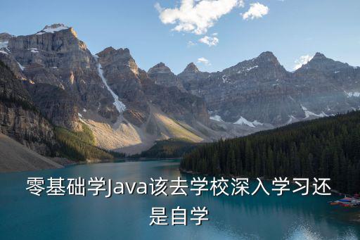 零基础学Java该去学校深入学习还是自学