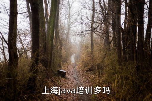 上海java培训多吗