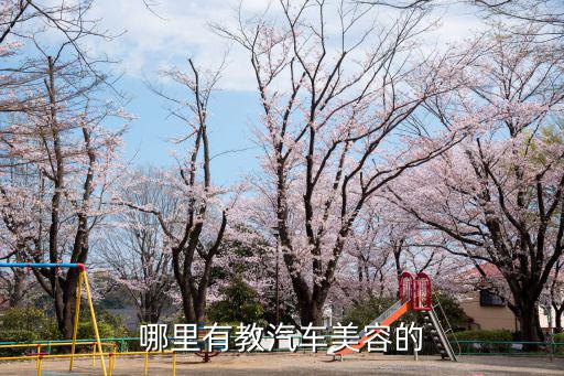 平湖哪里学美容,学美容去哪里比较好