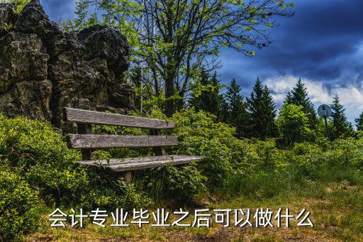会计专业毕业之后可以做什么