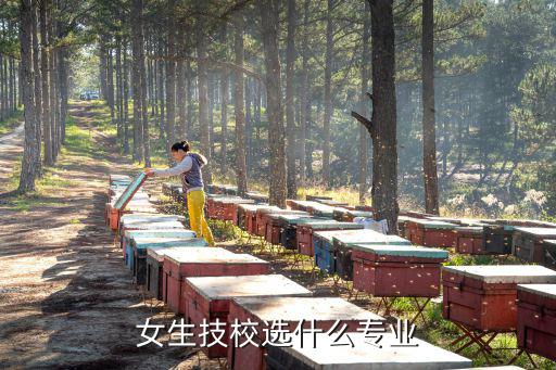 女生技校选什么专业