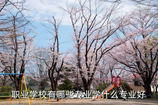 职业学校有哪些专业学什么专业好
