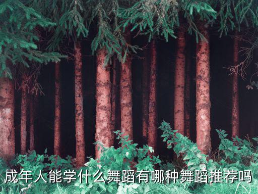 成年学什么舞蹈最好,成人舞蹈都学什么