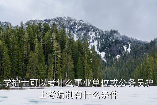学护士可以考什么事业单位或公务员护士考编制有什么条件