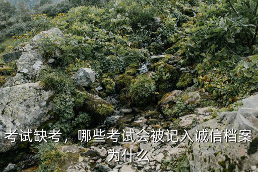 考试缺考，哪些考试会被记入诚信档案为什么