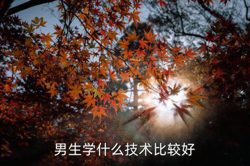 男生学什么技术比较好