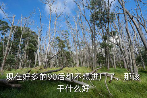 现在好多的90后都不想进厂了，那该干什么好