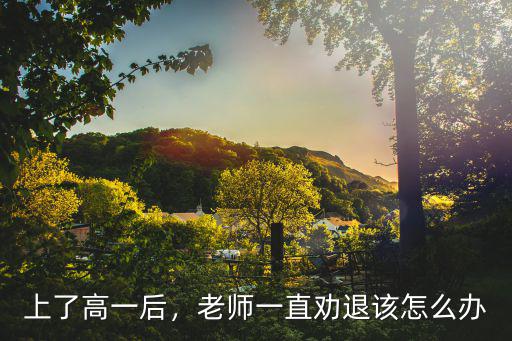 上了高一后，老师一直劝退该怎么办