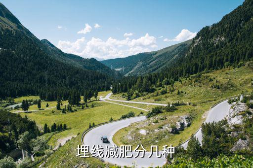 埋线减肥分几种