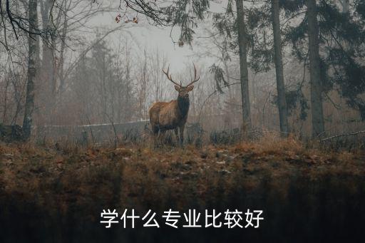 学什么专业比较好