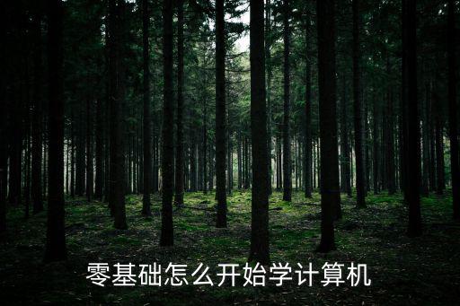 零基础怎么学打字,想学计算机0基础可以吗